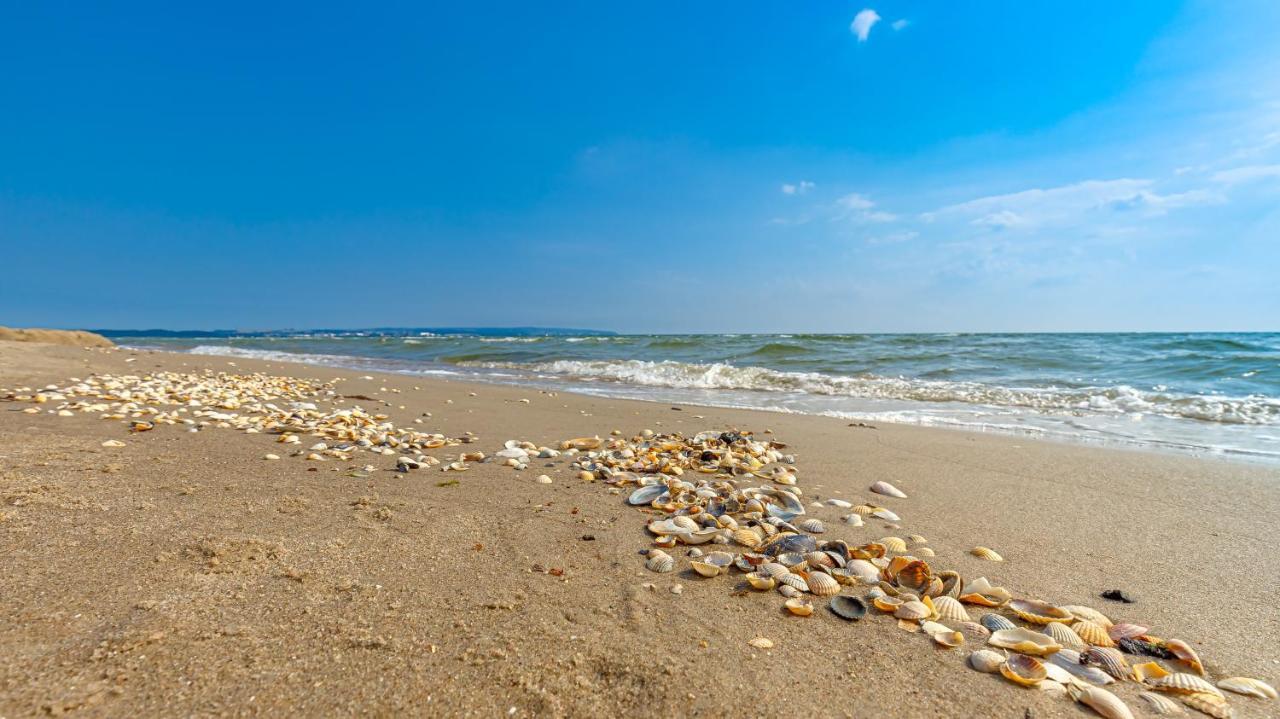 Strandurlaub Ruegen "Luett Matten" Apartamento Binz Exterior foto